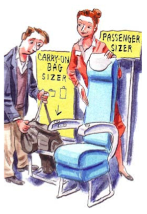 Figure 15 – Is measuring baggage and passenger size a possibility in the future?