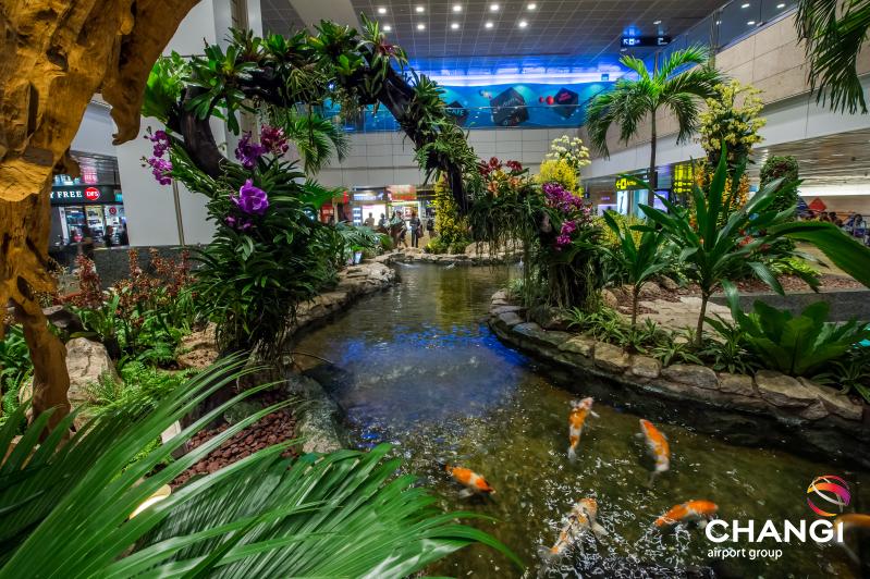 the calming range of gardens at Changi Airport