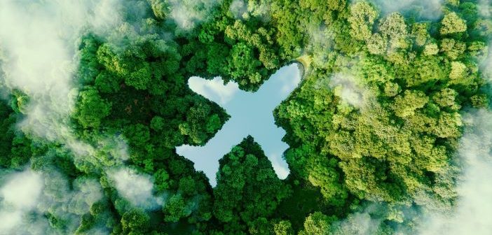 An illustration showing the outline of a plane against a rainforest background